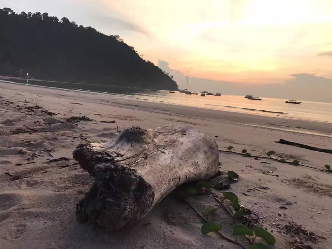 Juara Bay Resort Insula Tioman Exterior foto